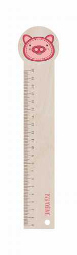 ASZ016 Linijka 20 cm - druk UV - Świnka