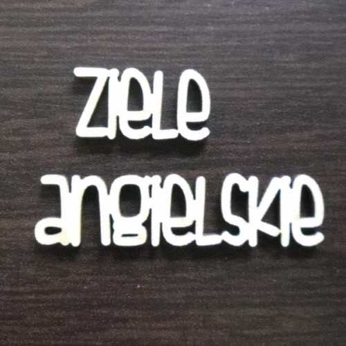 ND110-M Napis ziele angielskie