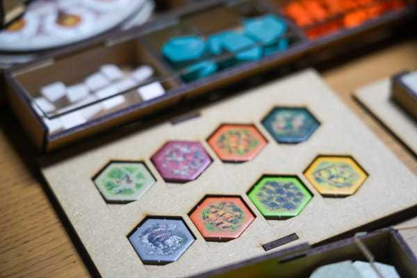 Insert, organizer do gry Zamki Toskanii