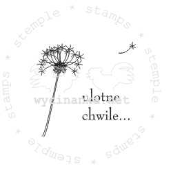 3a221695fe44b6a0cdefaa03f8f750cd