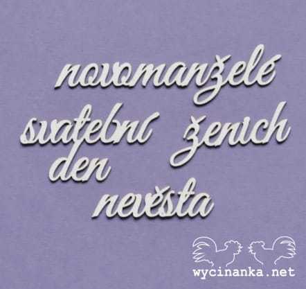 zestaw napisów "svatební den"