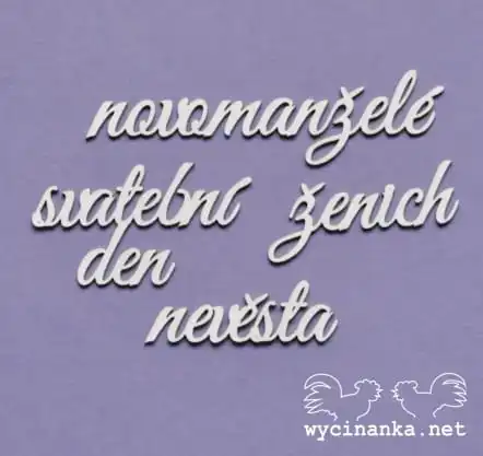 zestaw napisów "svatební den"
