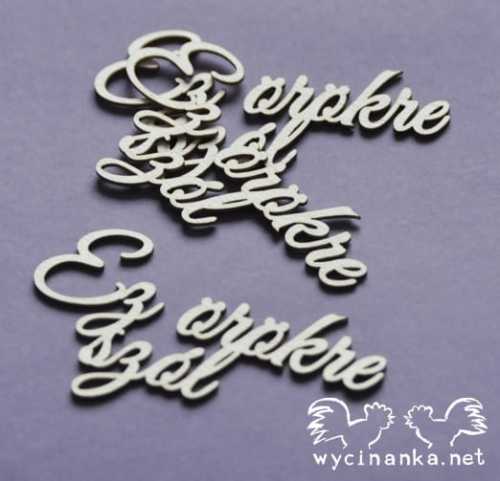 fe2fe37b505bc9433fc8da19ddd3e061