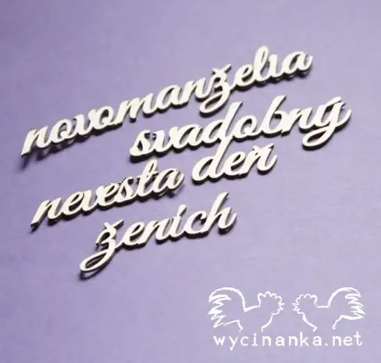 a11e78e7b8a3500dcdaa8db4e9665c3b