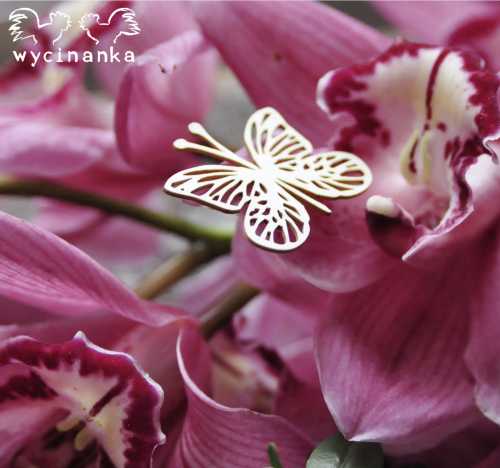 ccfb2e304b942ba67e365611a568e333