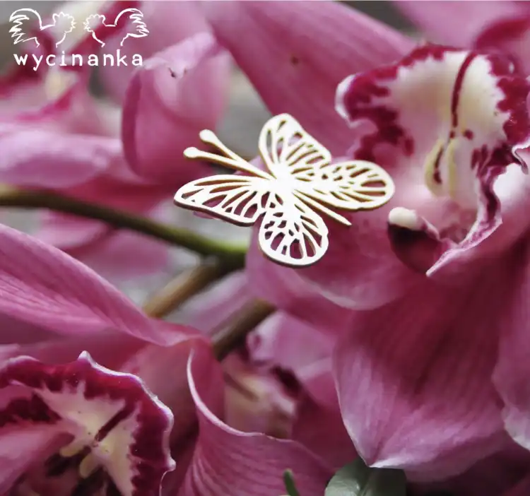 ccfb2e304b942ba67e365611a568e333