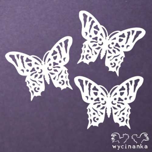 SUMMER DREAM - motyle wz.1