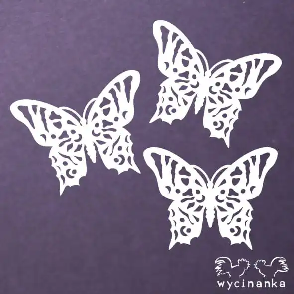 c7e8ee19702fb81674540b3d7ac20168