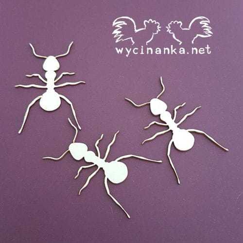 14955
