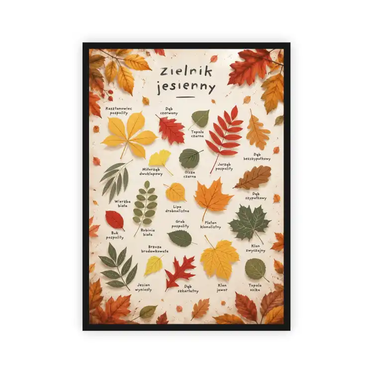 PLAKAT-33FC2980_white.jpg