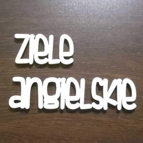 ND100 Napis ziele angielskie