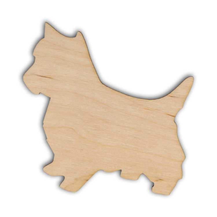 AD231.jpg