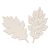 img_2D_0033.png